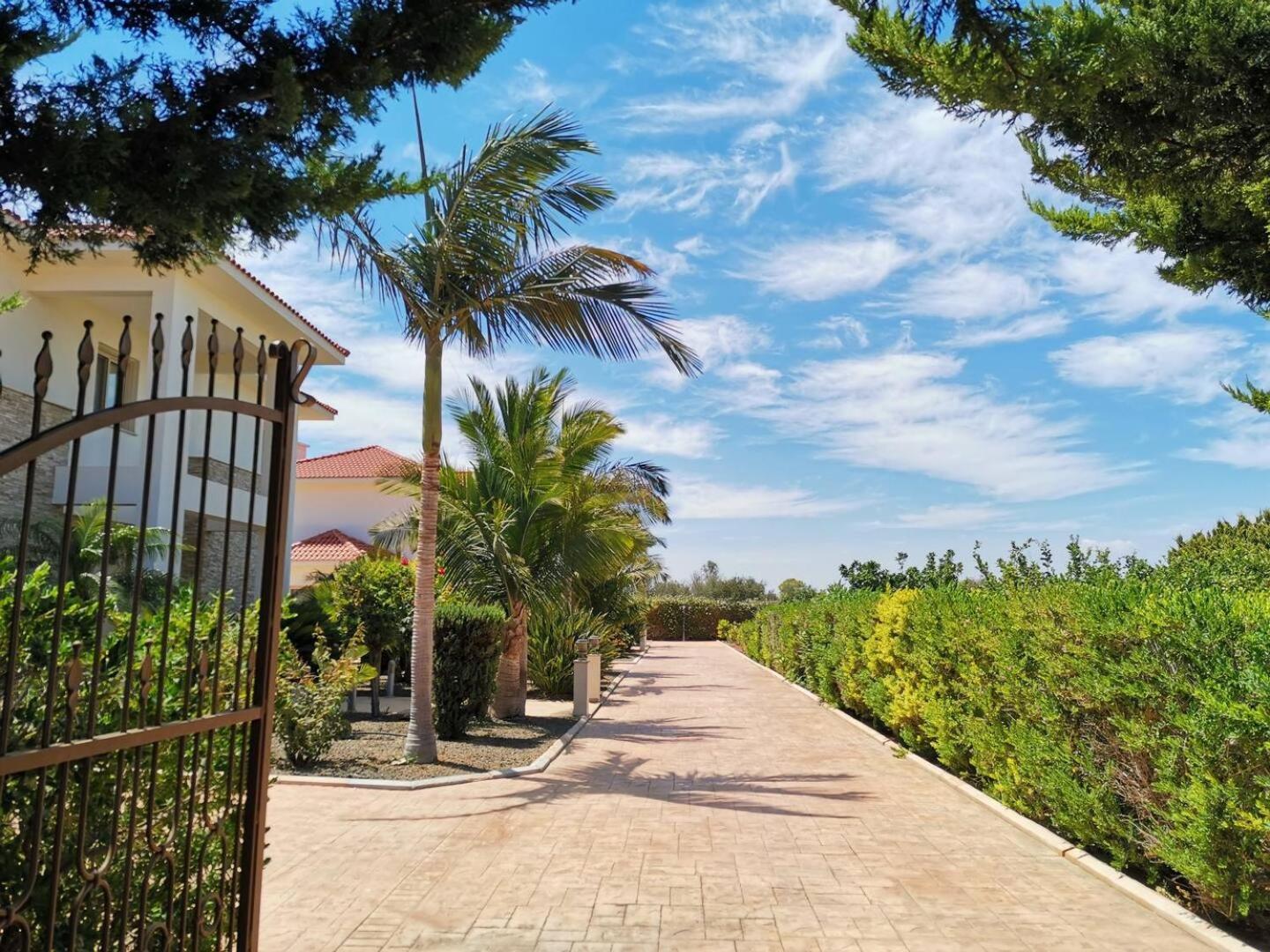 Phrenaros Orchard Blossom Private Villa With Pool מראה חיצוני תמונה