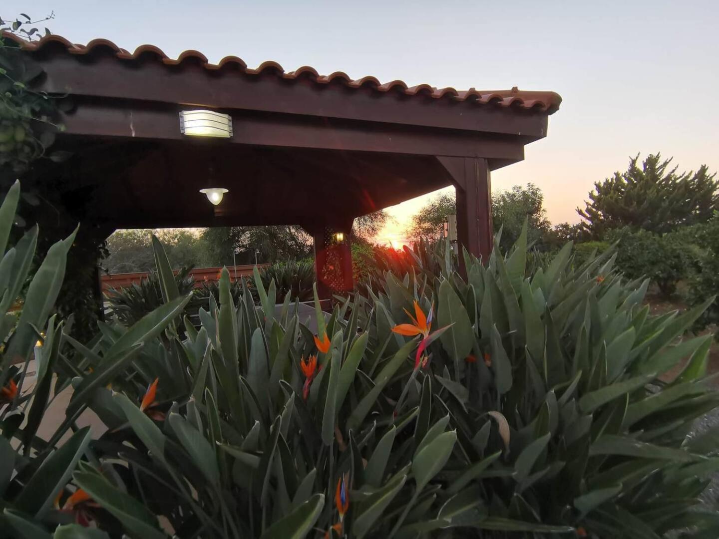 Phrenaros Orchard Blossom Private Villa With Pool מראה חיצוני תמונה