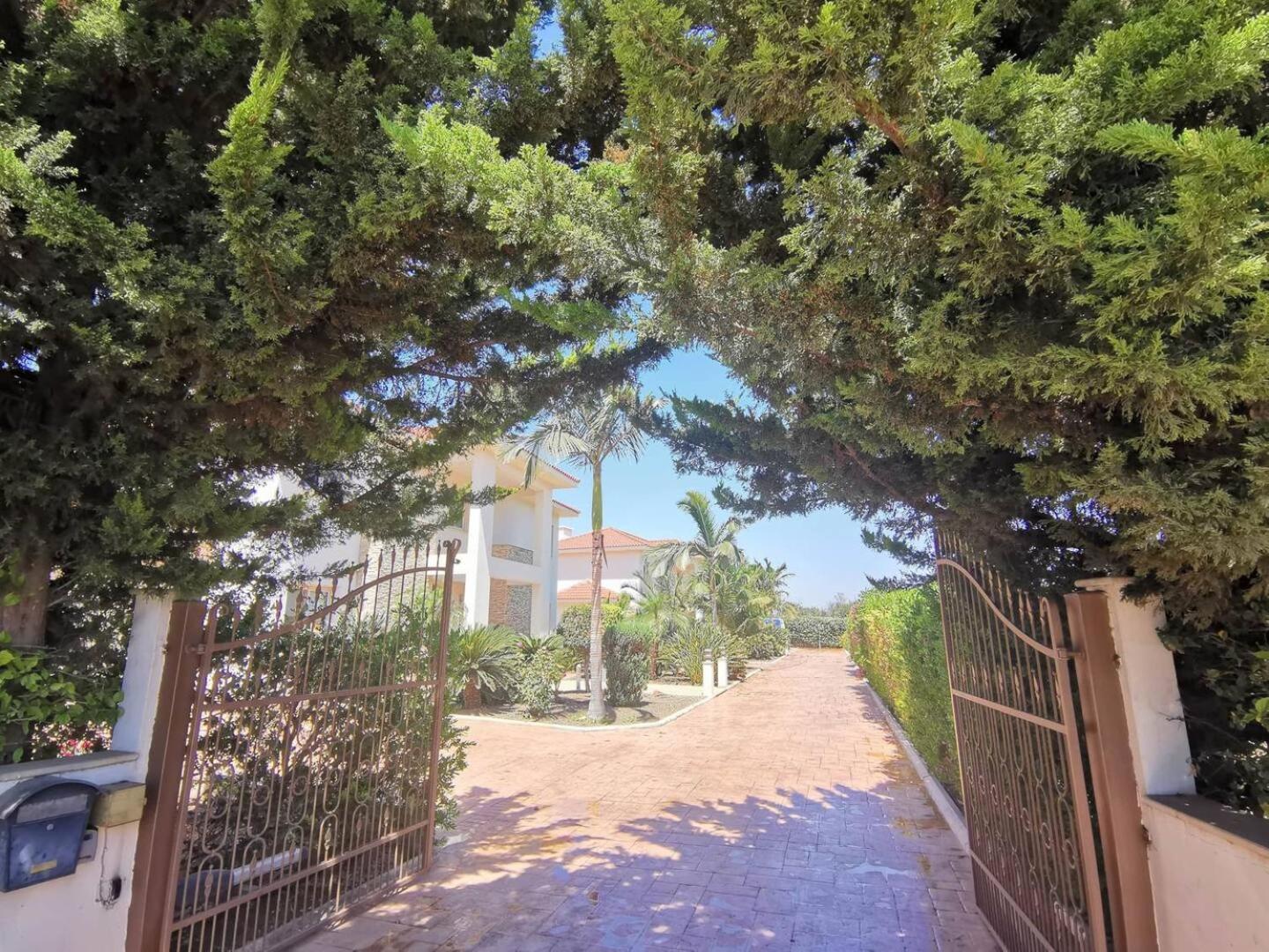 Phrenaros Orchard Blossom Private Villa With Pool מראה חיצוני תמונה